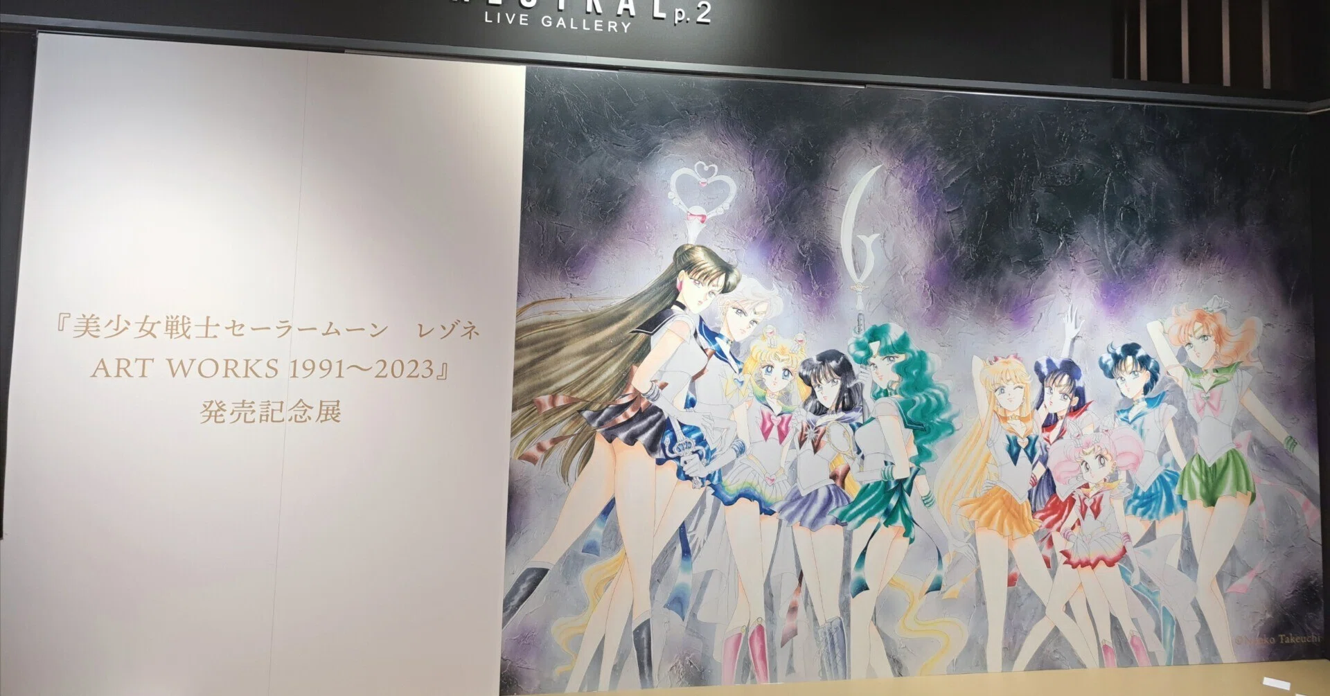 美少女戦士セーラームーン レゾネ ART WORKS 1991 ~2023』で表現され 美少女戦士セーラームーン レゾネ ART WORKS 1991 ~2023』で表現され