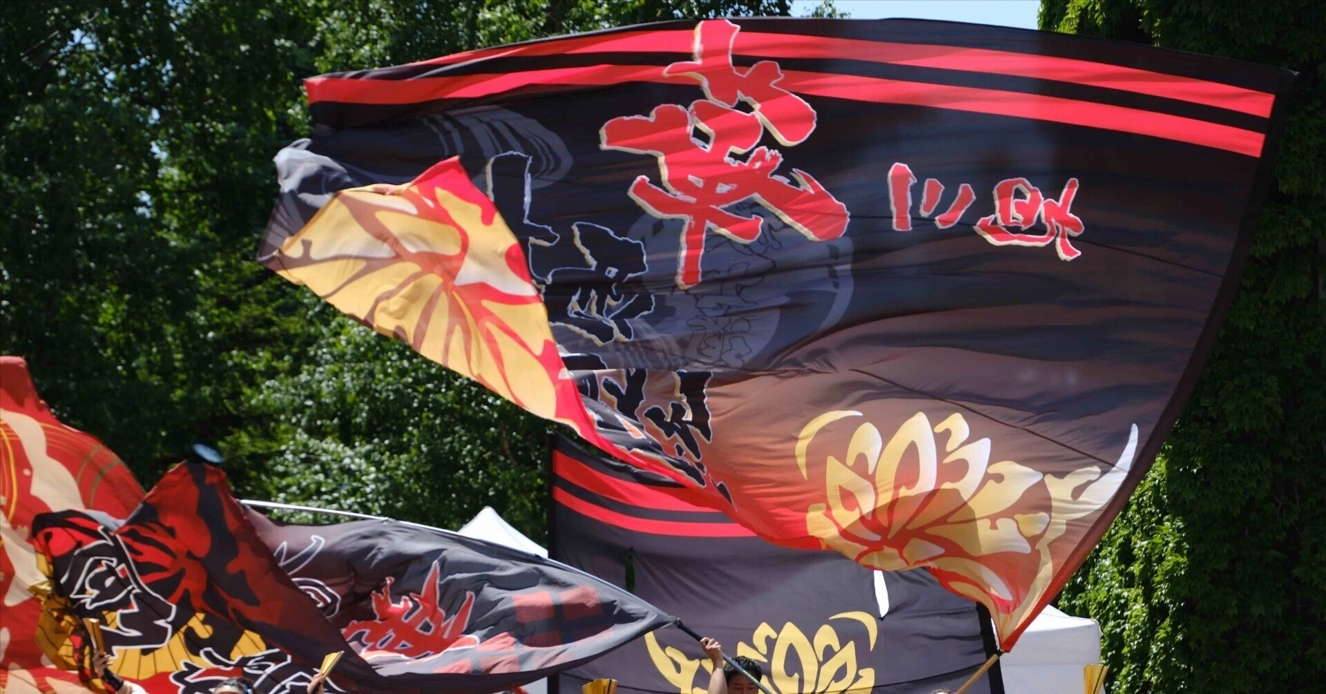 極上。山採りソヨゴ。 高島縮 20/20 草衣（そうい） 上（うえ）／散歩道（さんぽみち）