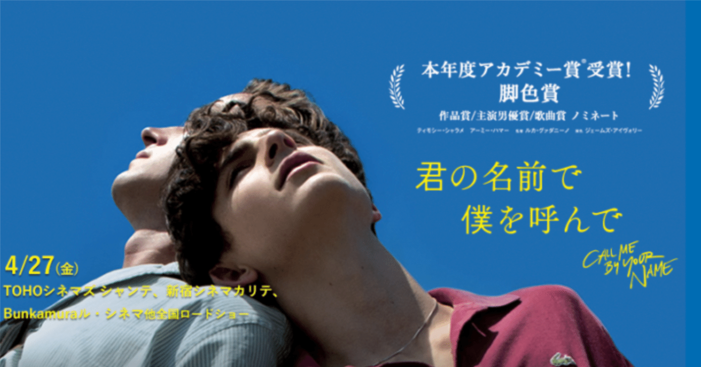 Call Me By Your Name 君の名前で僕を呼んで ポスター LP Call Me By