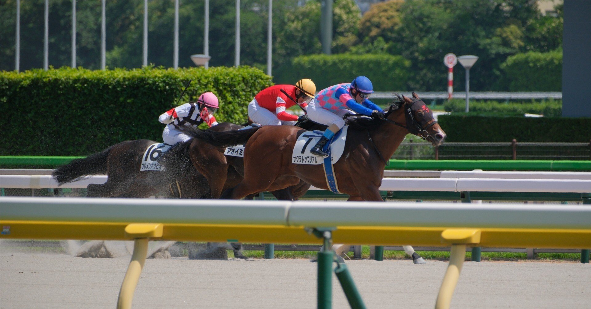 f59af047e39e2cb42f3914bf5a7e43