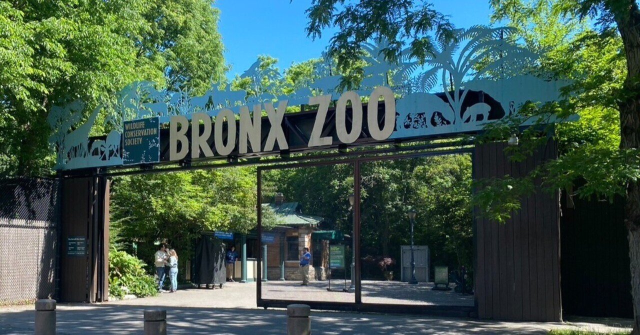 NYブロンクス動物園レポ～無料で入場する方法も～｜なみお@NY在住