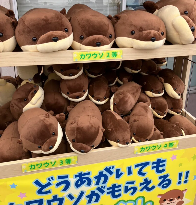 【遊彙記】あつ森コラボのシーパラに行ってきたよ|遊彙戯の舞台袖