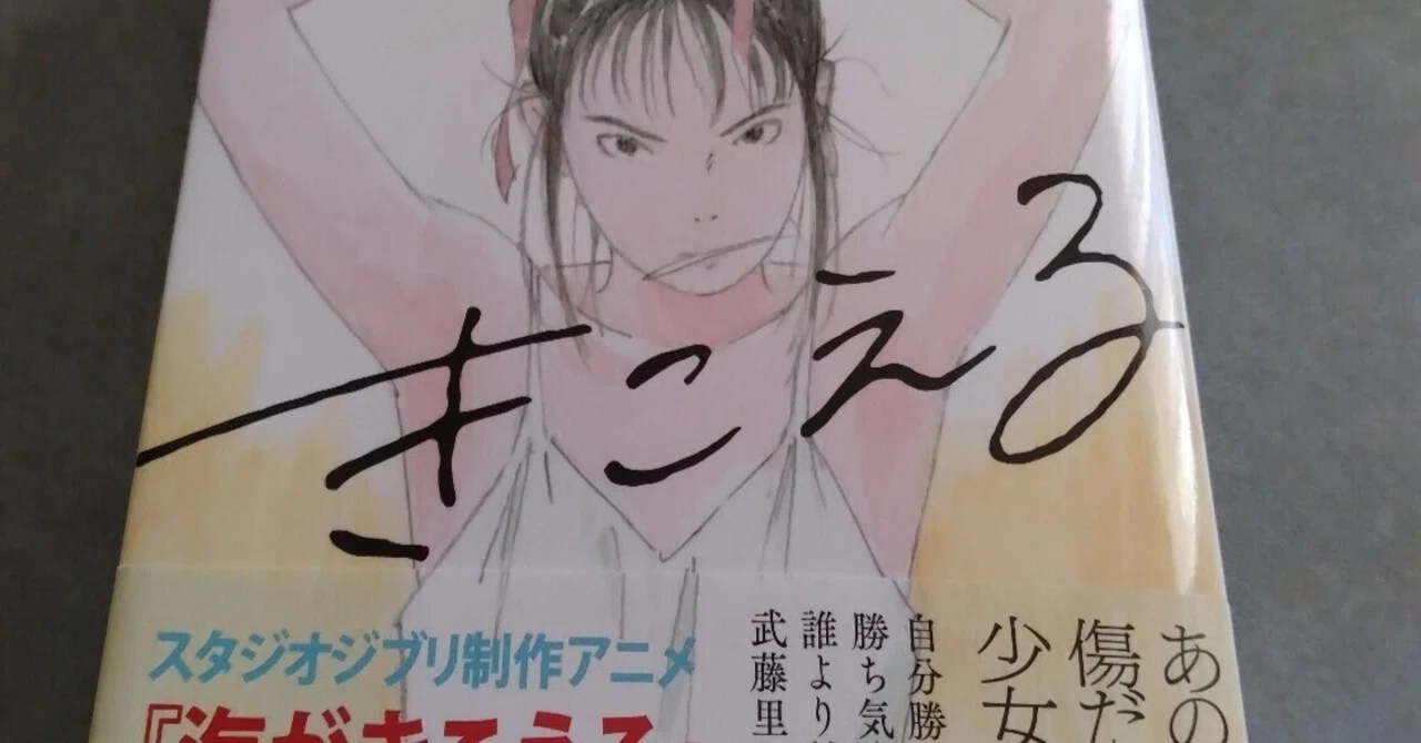 読書レビュー『海がきこえる』『海がきこえる アイがあるから』新装版