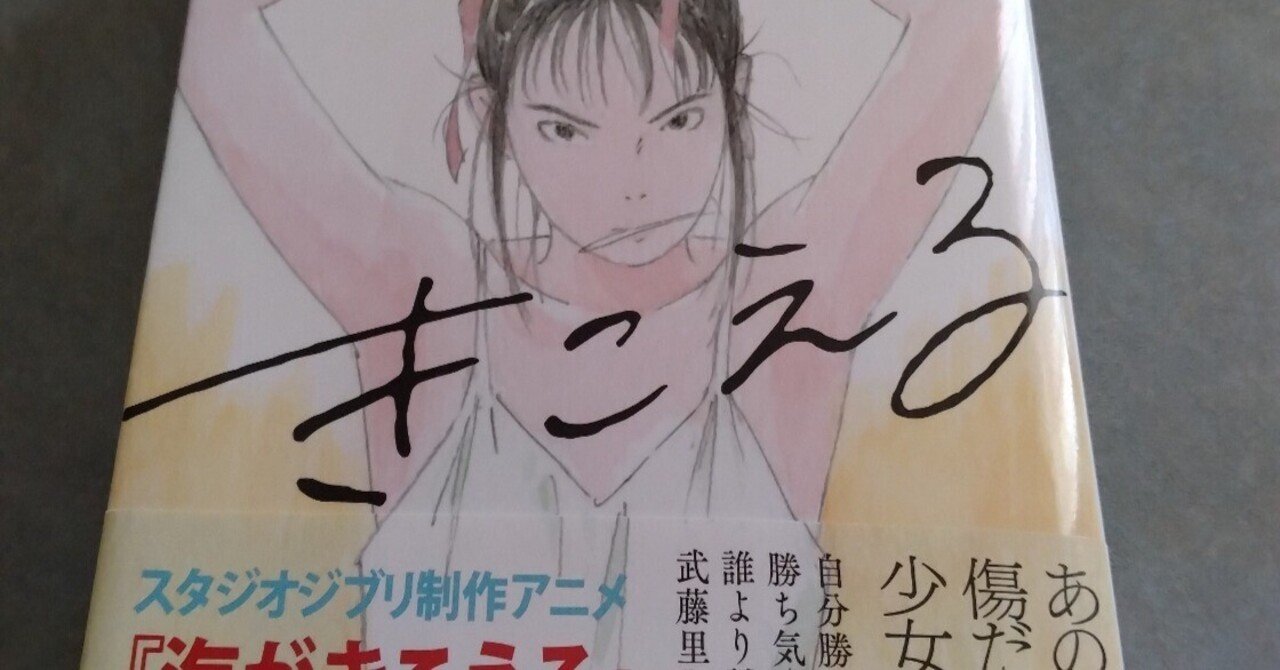 海がきこえる　連載小説切り抜き　土佐、高知の青春グラフィティーGBL 93000