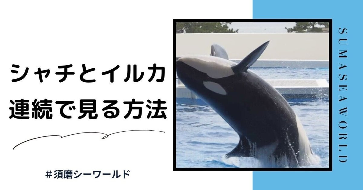 須磨シーワールドのシャチを前列で見る方法【オルカスタディアム