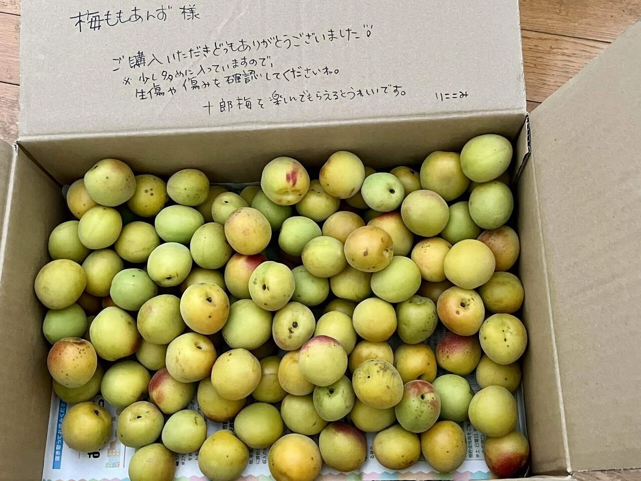 生梅が3kgあったらどう使う？熟の加減で分けてカリカリ梅と梅干し