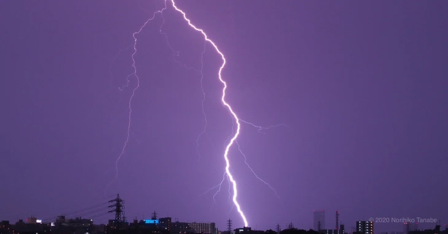 昨日も、今日も雷です 🌩｜Malayan Dragon（南風（みなみかぜ）