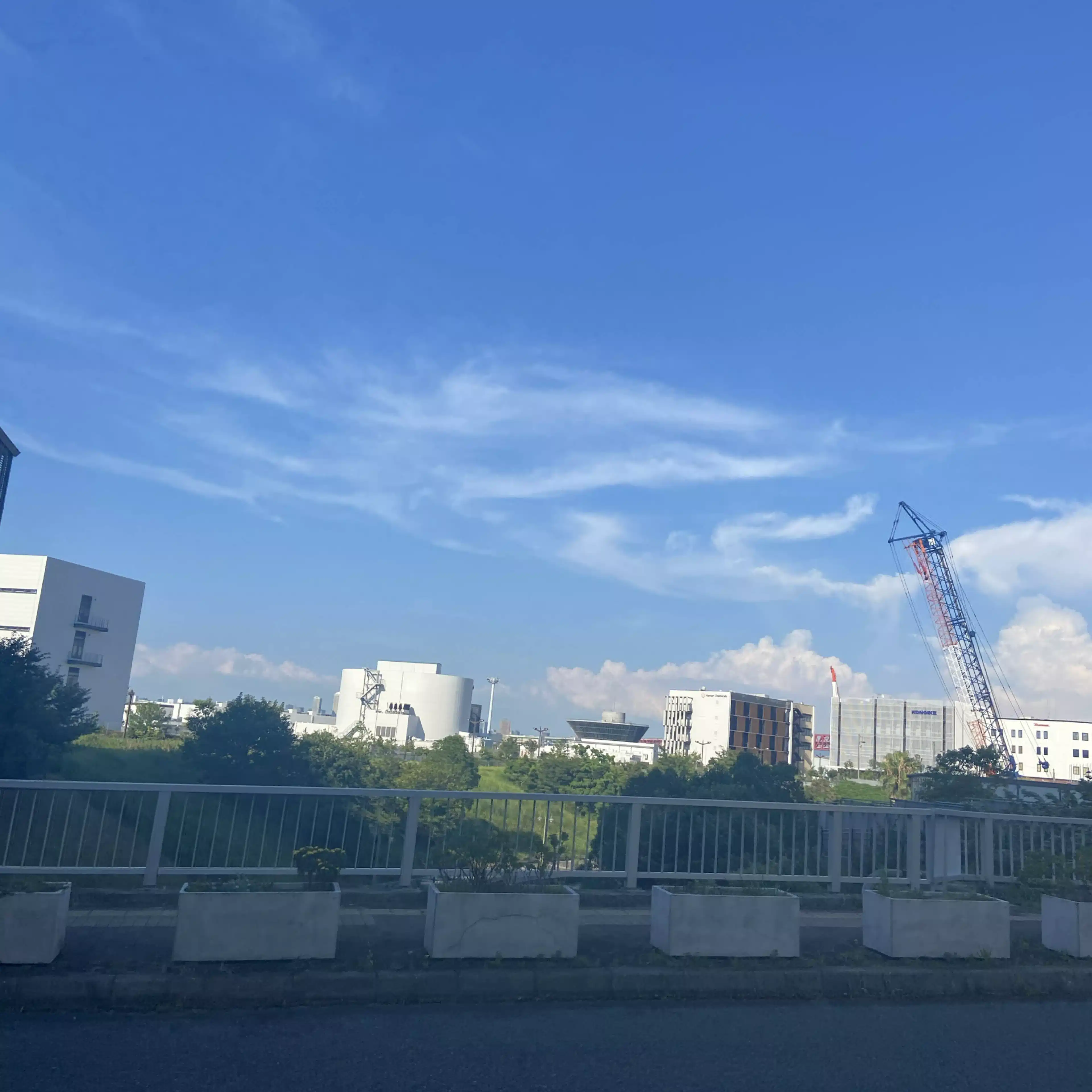 独り言