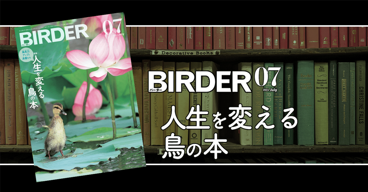 BIRDER7月号の見どころ｜ブンイチ（文一総合出版）