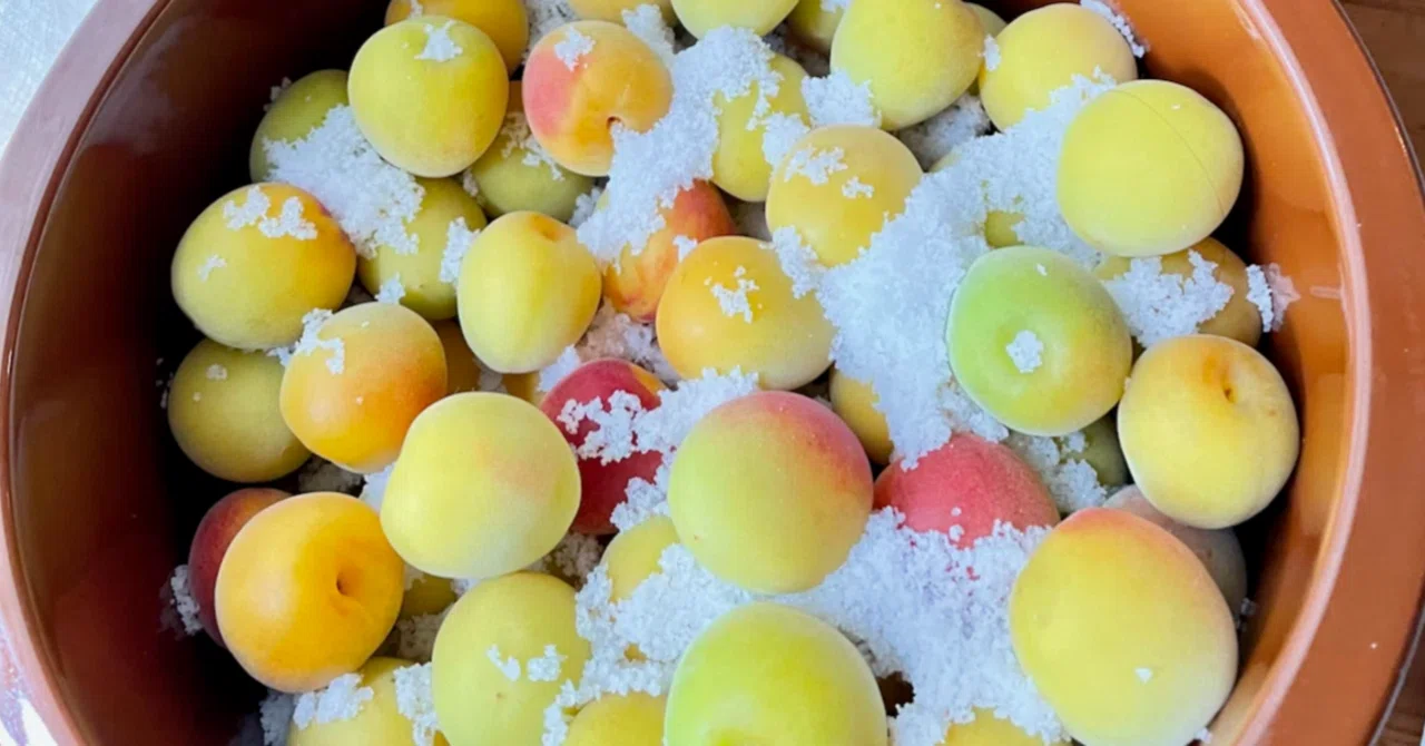 Pickled Plums, Fruit Liqueur, and the Joy of Growing｜mika note