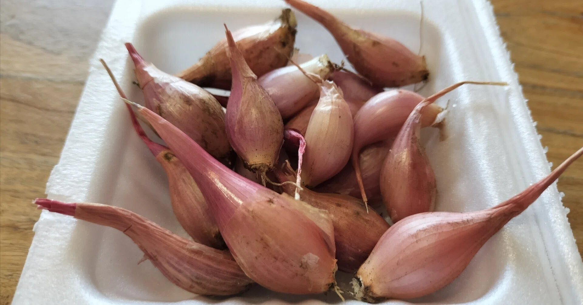 タイ料理にハマりたい！ その8：番外編2 タイ料理食材を家庭菜園で作