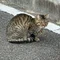 N700のぞみ