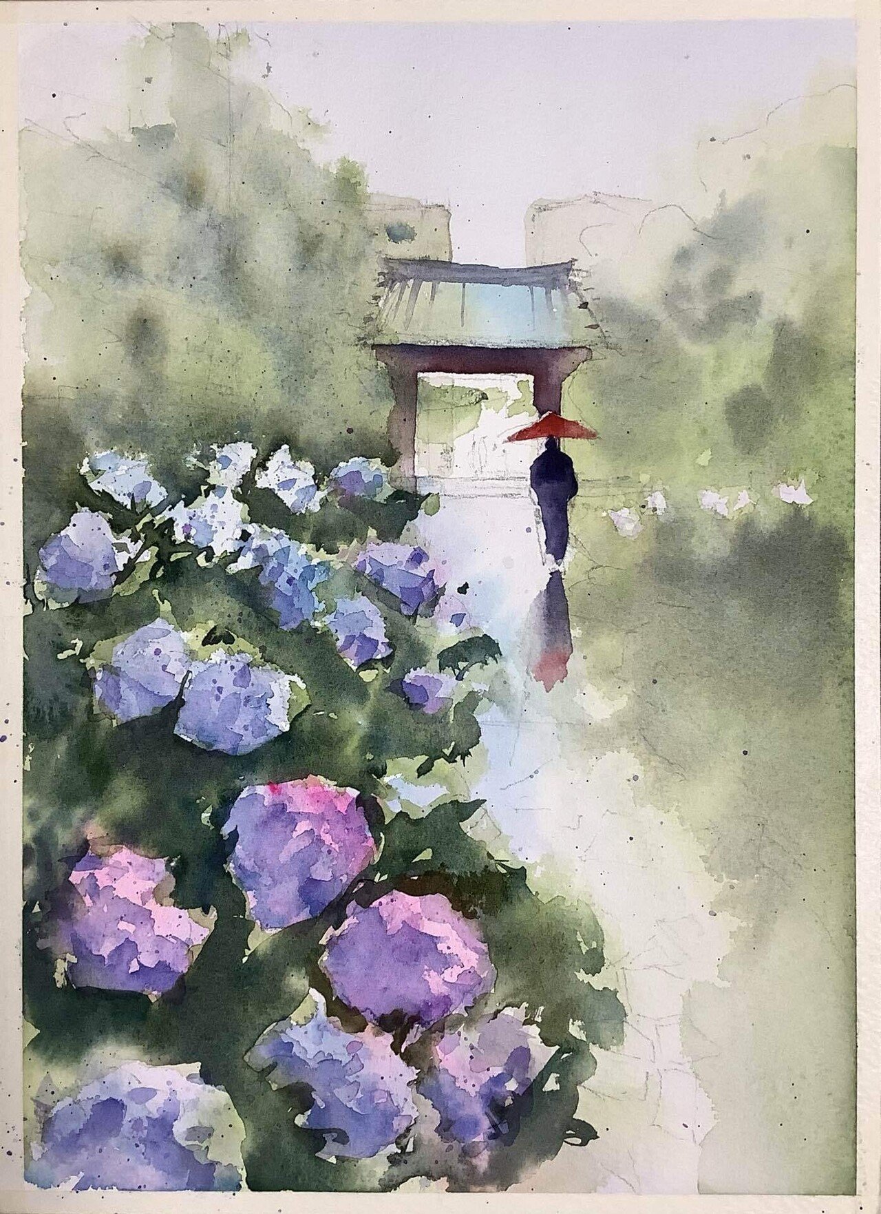 小雨を歓ぶ大巧寺のあじさいたち｜m_kino