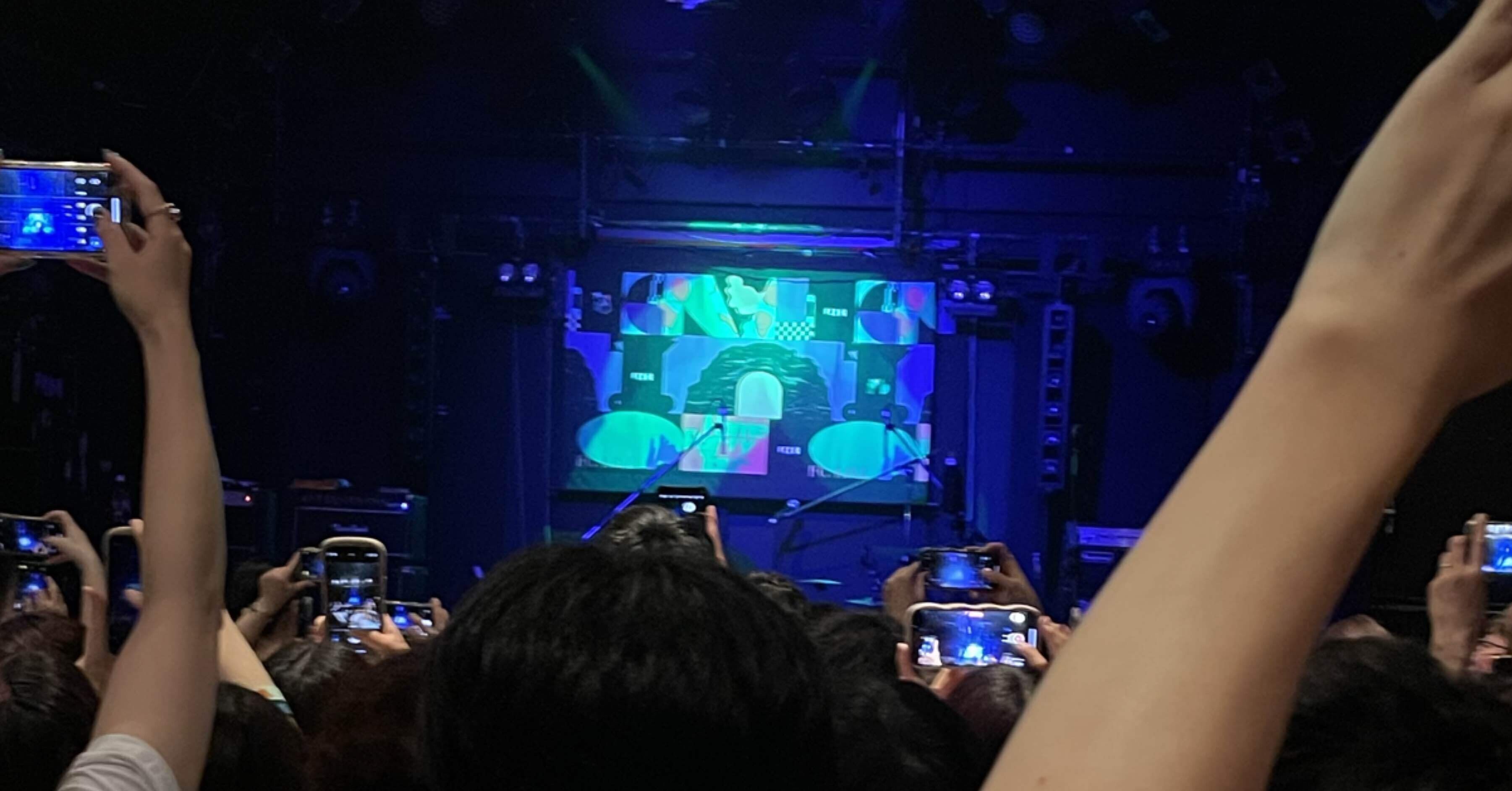 フレデリックのライブ会場限定CD お家を建てよう フレデリックのライブ会場限定CD お家を建てよう