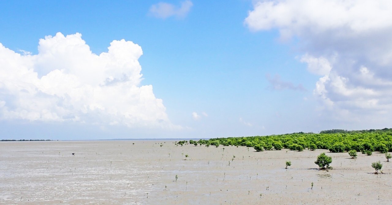 147 Peter November 147-peter-november