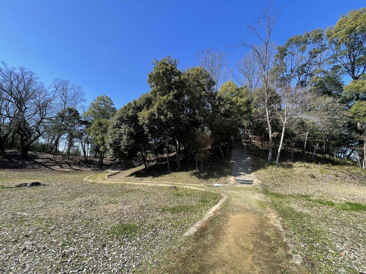 白鳥の伝説 🦢｜hanahanamichi