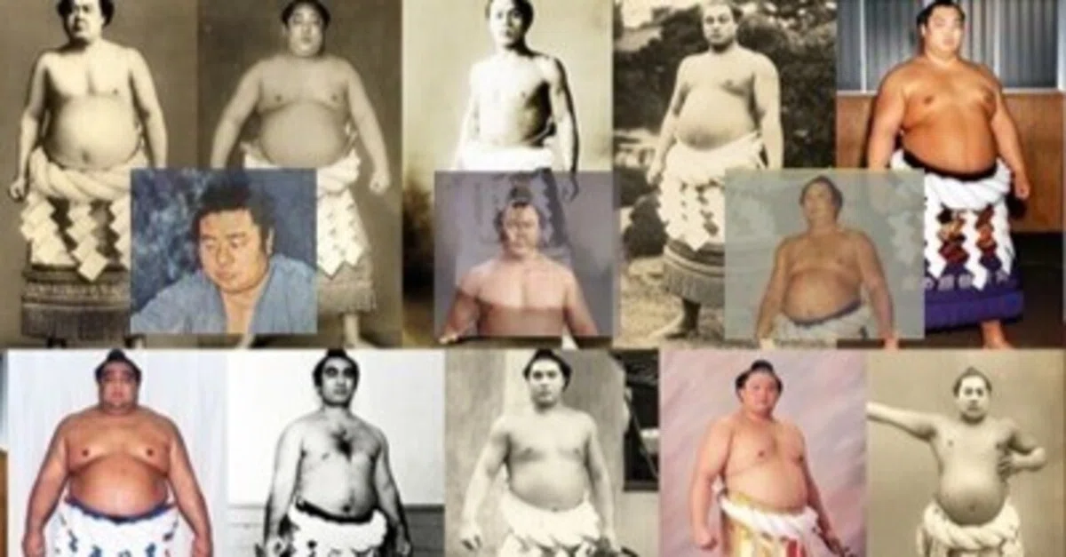 関脇千代の富士 横綱輪島 稀少！相撲番付 転ばす