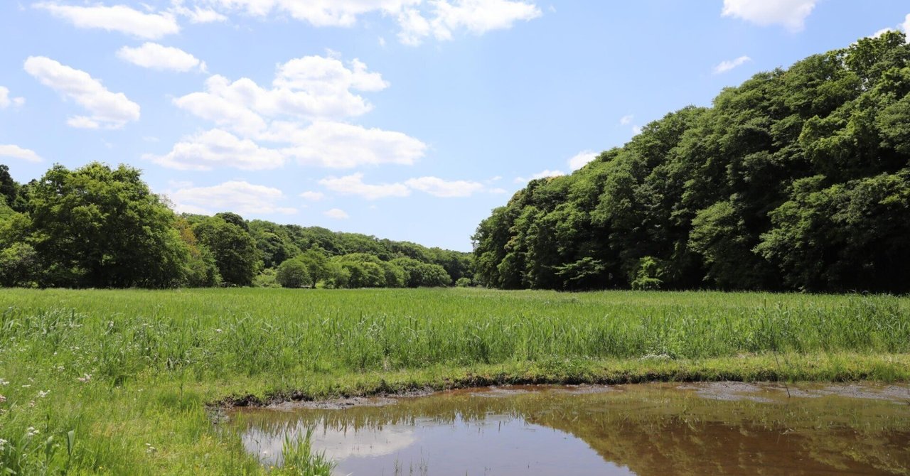 自然総有論—入山権思想と近郊里山保全を中心とする 自然総有論 / 松本 文雄【著】 - 紀伊國屋書店ウェブストア