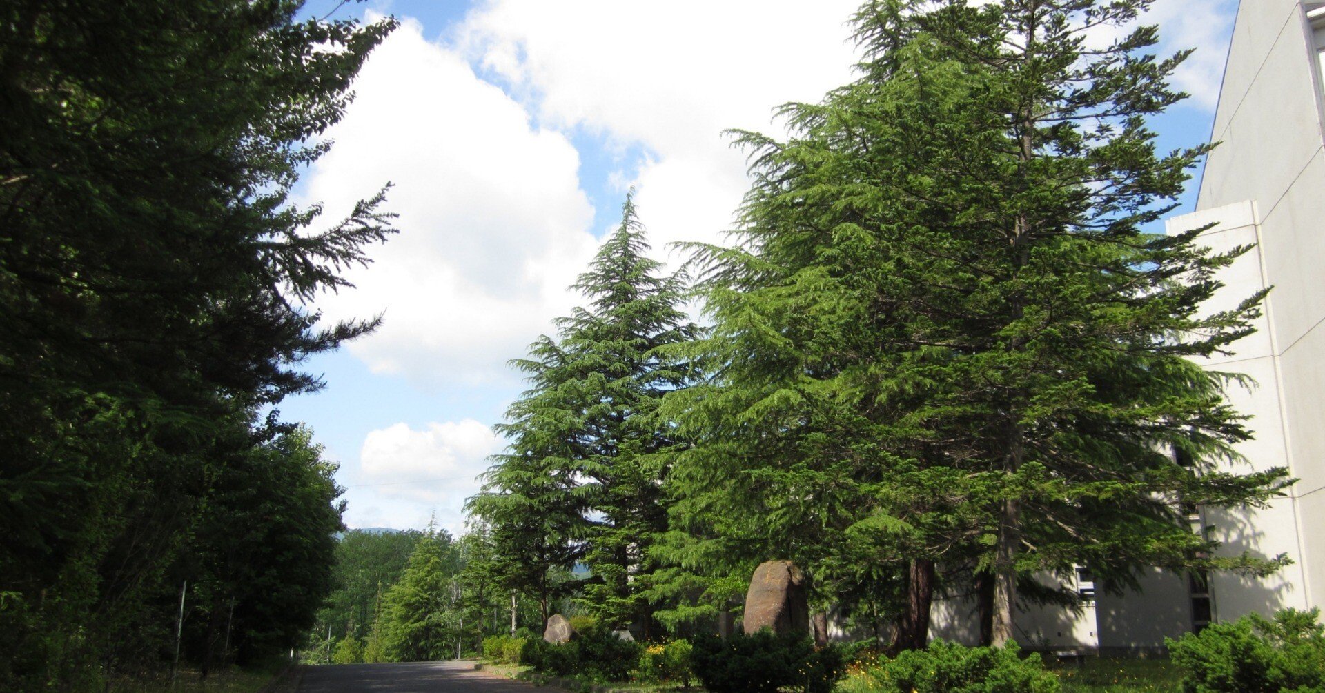 a10abd2c990818a0664f0cab488fd5