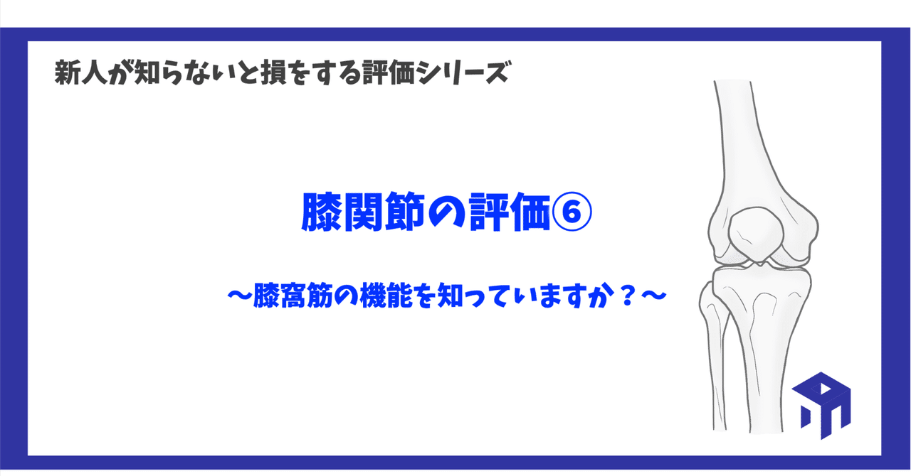 足関節＋膝関節DVD m3電子書籍 | OS NEXUS19 足・足関節の最新の手術