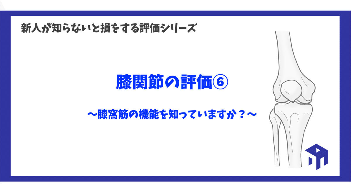 膝関節•足関節　理学療法マネジメントセット売り 膝関節•足関節 理学療法マネジメントセット売り 2025年最新】膝