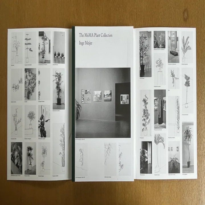 Inge Meijer – The MoMA Plant Collection｜IDEABOOKS JAPAN