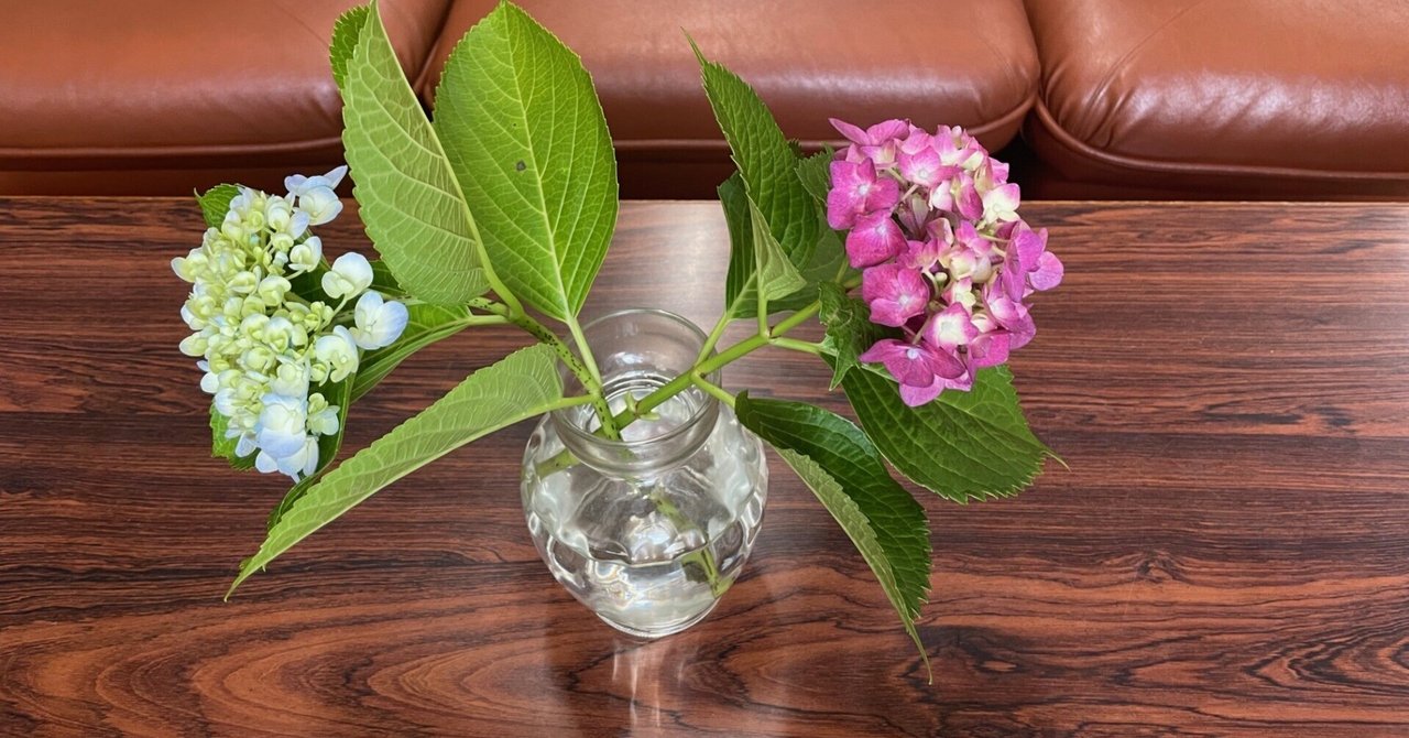 児童からいただきました!!|浜小学校