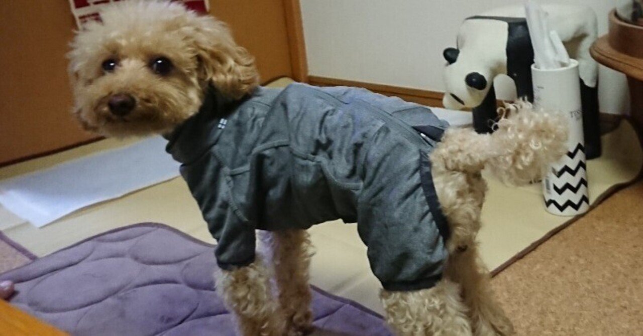 わさお！フルッタ ボディウォーマー 35M 166 犬の防寒着！Hurtta(フルッタ)のボディウォーマーを買って