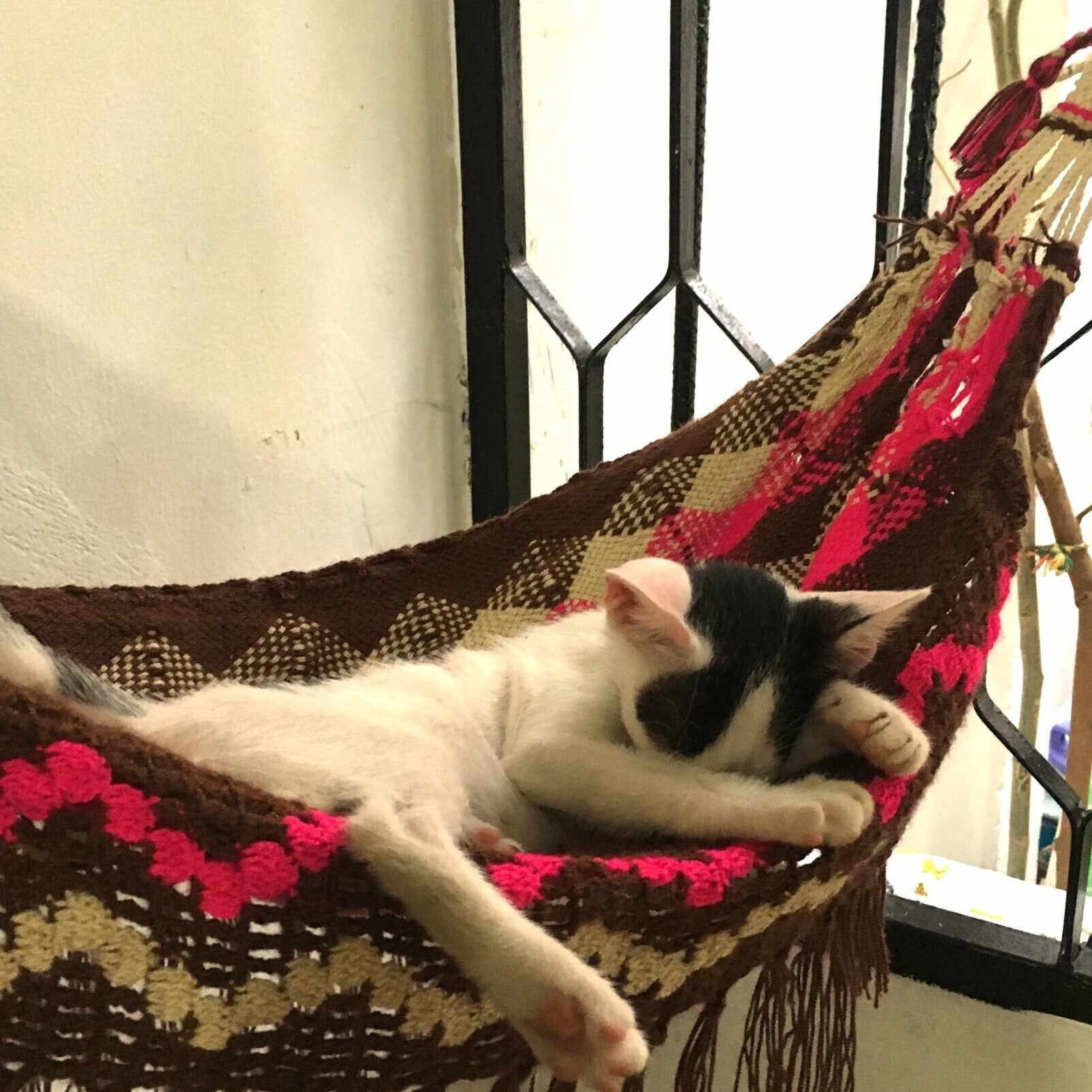 読書メモ】クラフツマン：作ることは考えることである｜Matsumaru Susumu