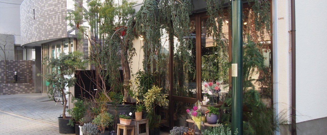 音で聴く お花は 記録じゃなくて記憶に残すもの 西荻窪にあるお花屋さん 枝屋 灯台もと暮らし Note