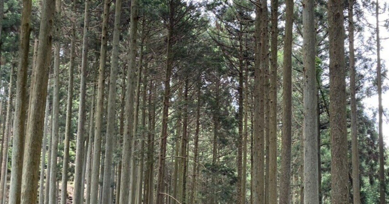 6月① 京都一周トレイル 北山東部コース後半+北山西部コ―ス一部