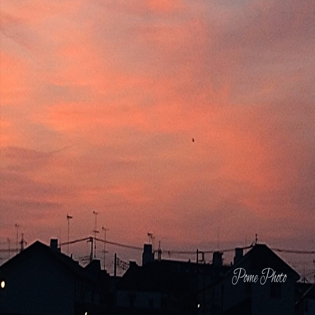 早朝の空は朱色に染まりつつ♪｜ぽめ