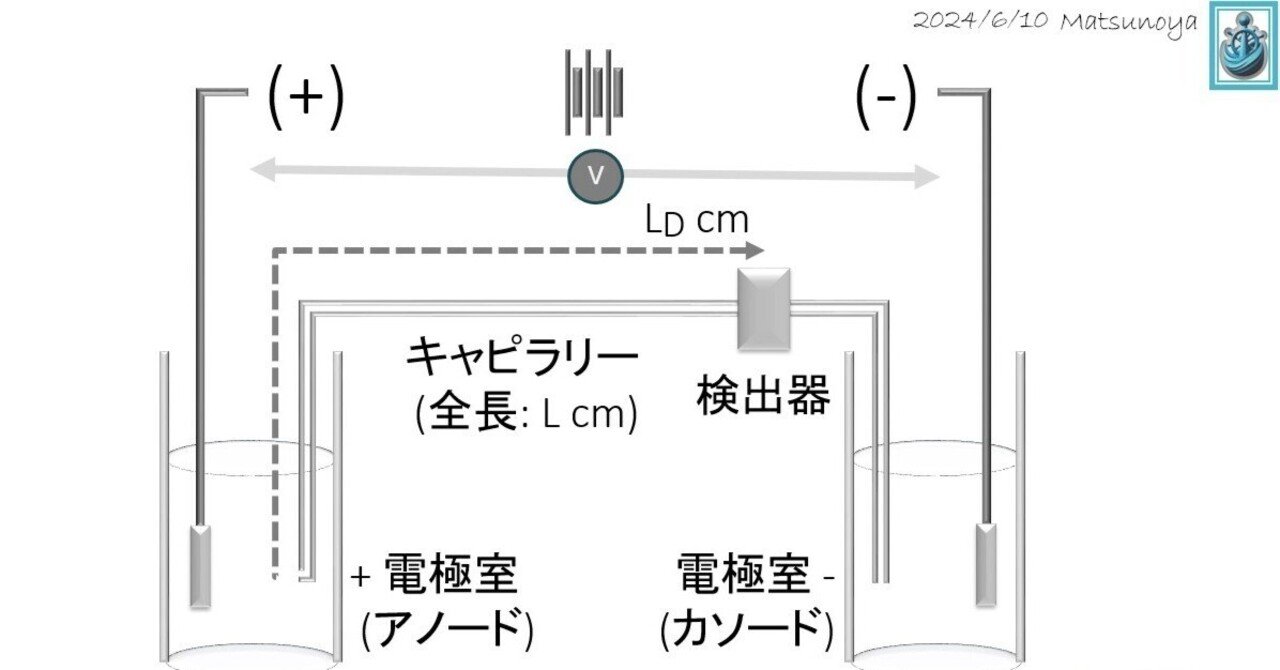 松廼屋｜論点解説 薬剤師国家試験対策ノート問107-100【物理】論点：キャピラリー電気泳動法｜matsunoya