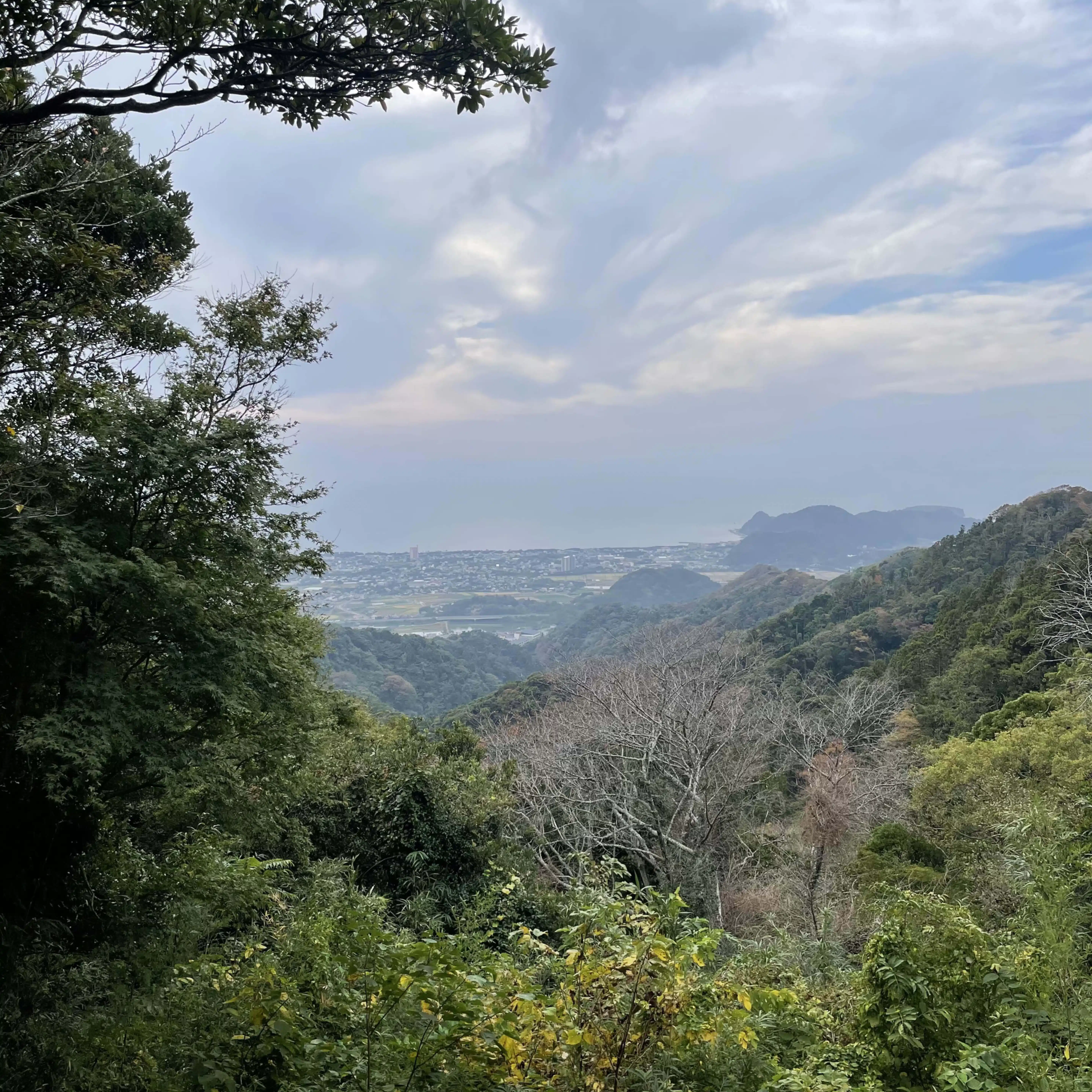 yoshi mountain