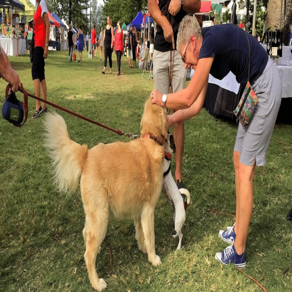 ゴールデンレトリーバーになれるシャンプーって話｜げそちゃん