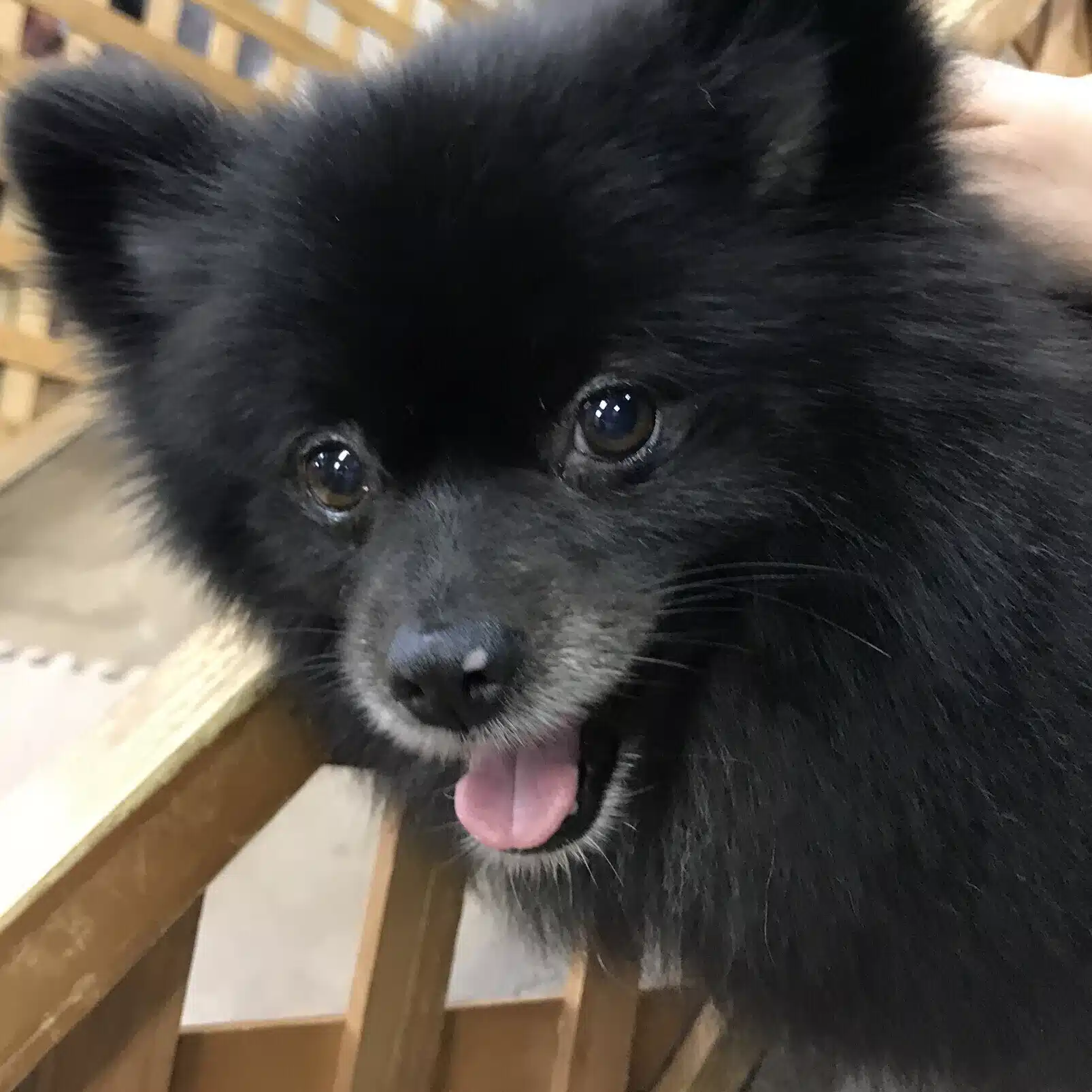 ミズき