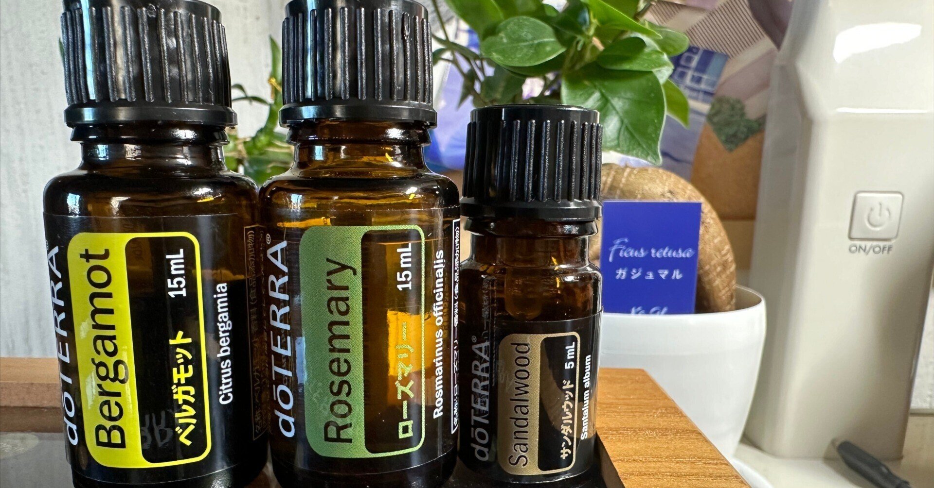 doTERRAアロマオイル6本セット くらら様専用 ドテラ アロマオイル 6本セット 新品