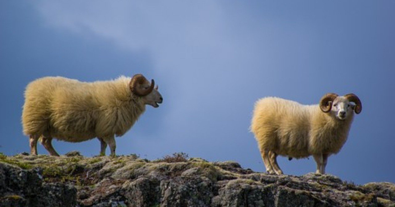 短編小説その5 死んだ娘に纏わせる衣装 戸蒔 秋二 Note 短編小説その5 死んだ娘に纏わせる衣装 戸蒔 秋二 Note