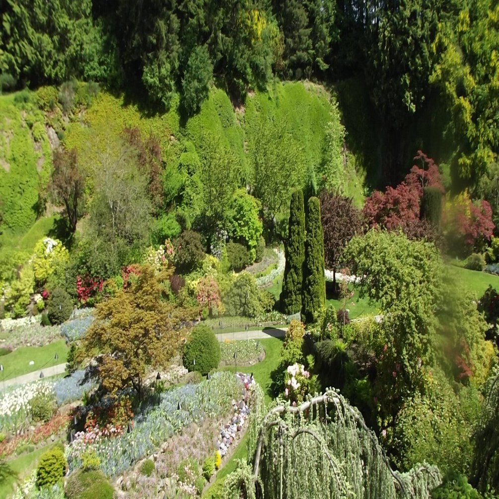 カナダの素晴らしき庭園「ブッチャートガーデン」｜JUNJUN