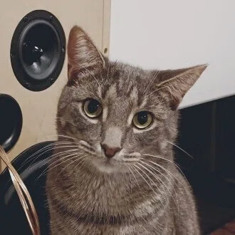 えいごはかせ
