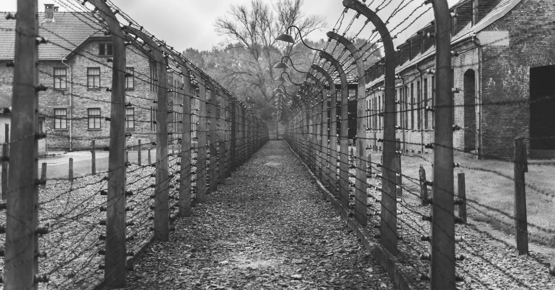歌われなかった海賊へ』エーデルヴァイス海賊団：ナチスに抗った若者