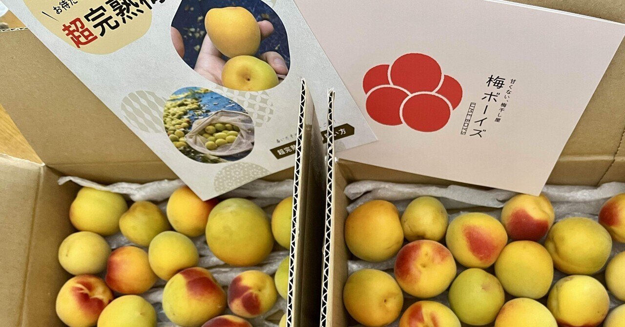 新しい到着 rectangle_large_type_2_a39ef2d Fruit