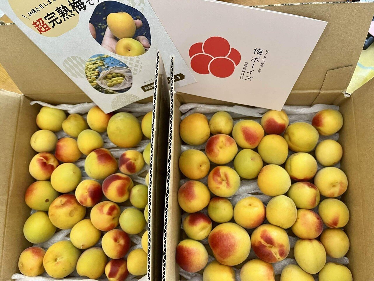 ひと粒最大直径6cm×80g超！超巨大な｢梅ボーイズ｣さんの超