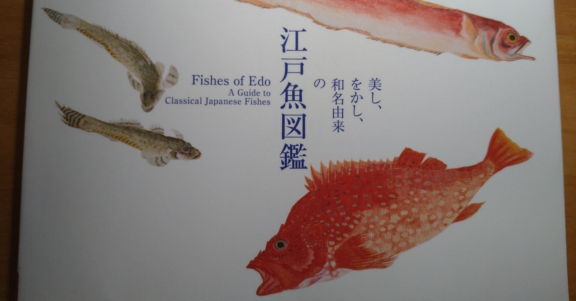 d16422f52d0757daac1090009e36b0