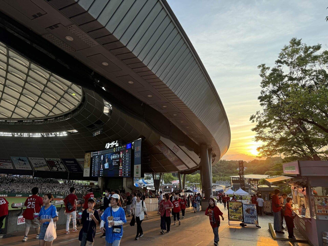 6/6 （金）広島カープ 西武ライオンズ 内野指定A 1塁側 ペアチケット