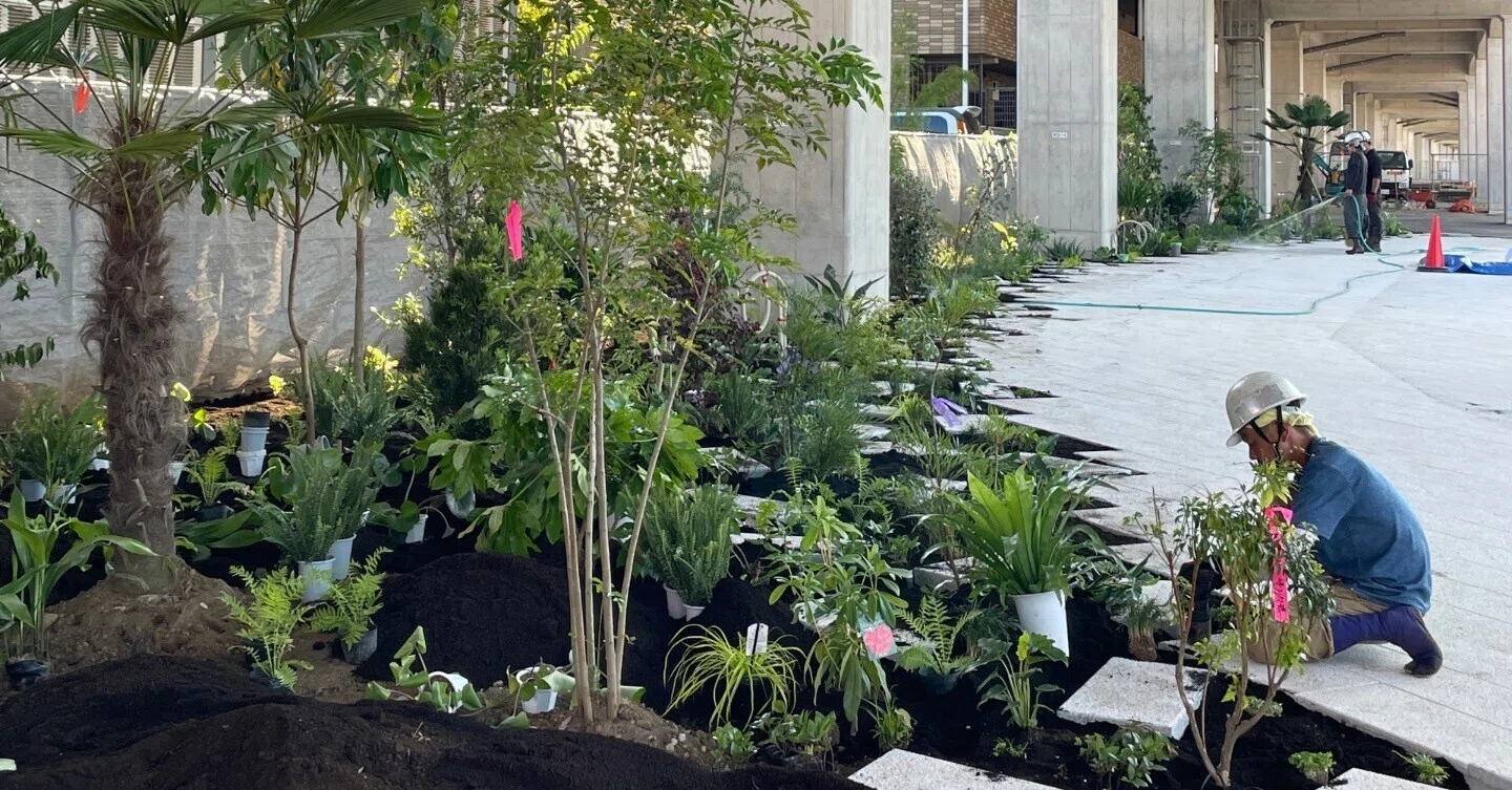 植栽家の日常】20240612 新しくできる広場の植栽工事 第2日め|太田 植栽家の日常】20240612 新しくできる広場の植栽工事 第2日め|太田