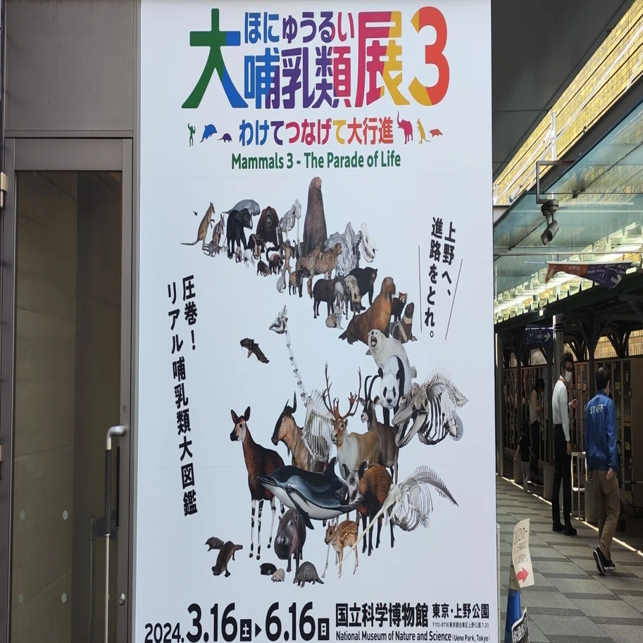 特別展】大哺乳類展3わけてつなげて大行進｜もんばん