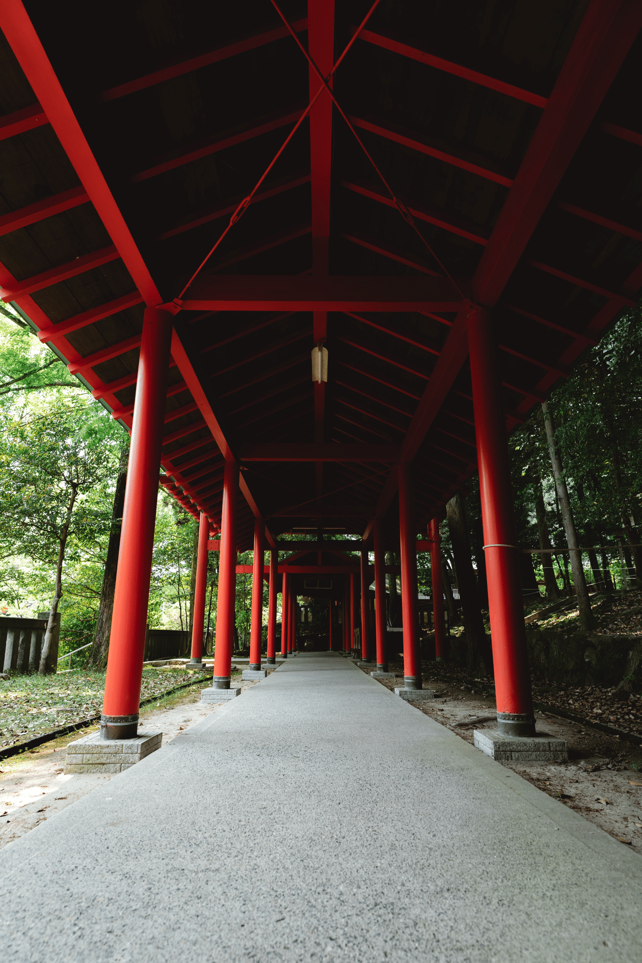 TAMRON 20-40mm F/2.8」で撮ったスナップ作例｜丼(don)