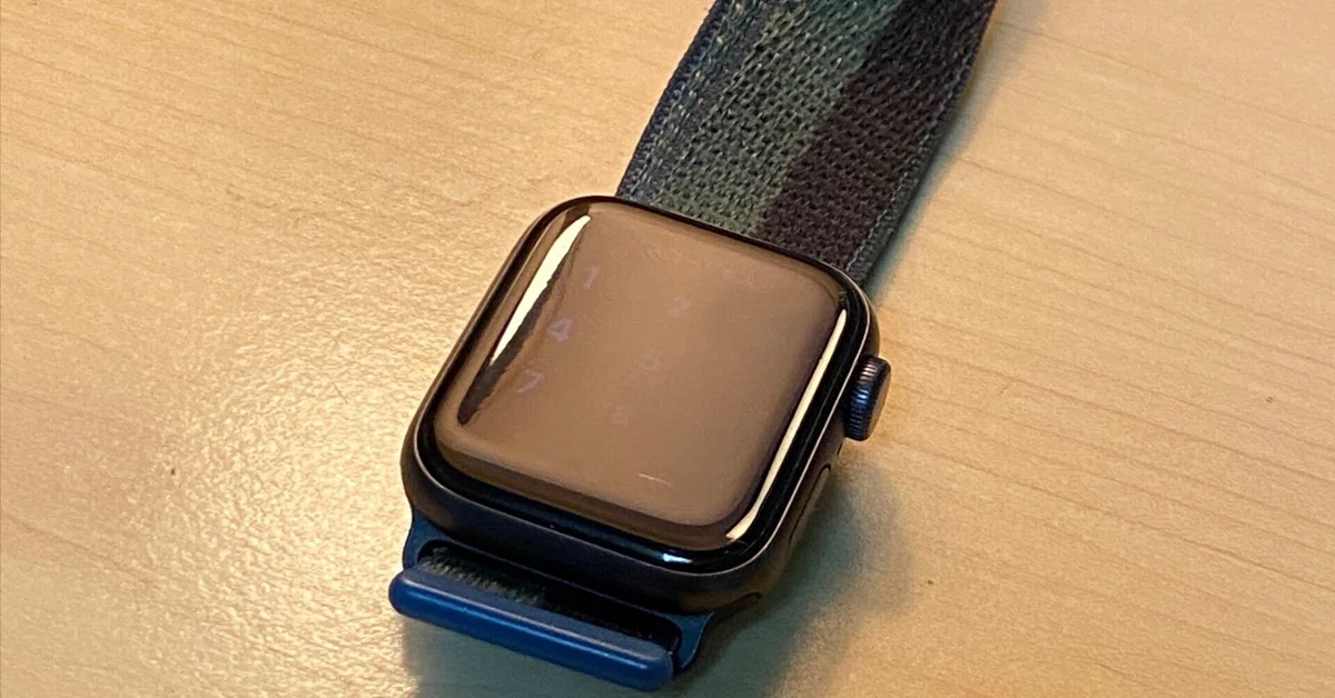 ヒロ様専用 Apple Watch 9 ステンレス グラファイト（復活の筋