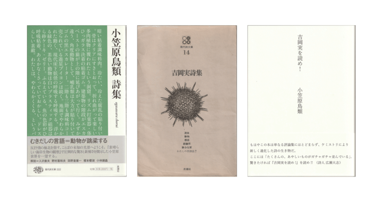 吉岡実全詩集 小笠原鳥類『吉岡実を読め！』／『吉岡実詩集』／『小笠原鳥類詩集』｜KAZE
